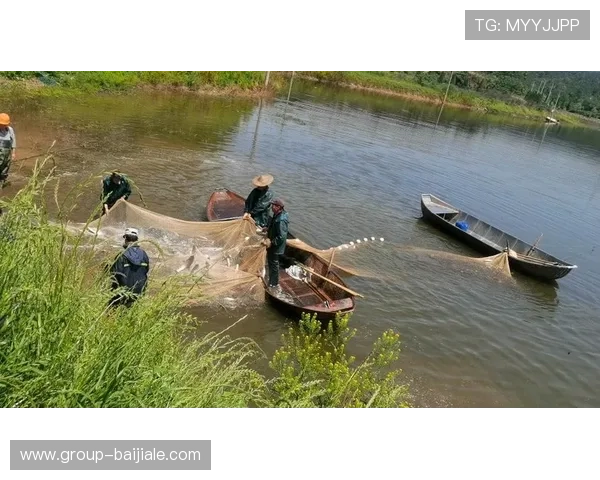 PA捕鱼网站如何提升捕鱼成功率？实用技巧与常见问题解答全攻略